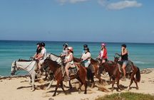 2 Hour Horseback Riding on the Beaches of Punta Cana