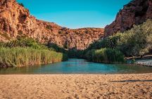 Day Tour to Preveli Tropical Beach and Palm Forest from Heraklion