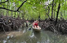 Half-Day Mangrove Kayaking in Langkawi 