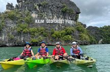 Half-Day Mangrove Kayaking in Langkawi 