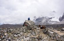 5-Day Tour Salkantay Trek to Machu Picchu
