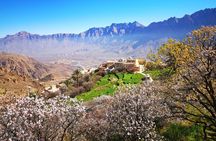 Full-Day Private Tour to Nakhal & Wakan