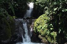 Mindo Bird Watching Tour from Quito