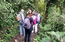 Mindo Bird Watching Tour from Quito