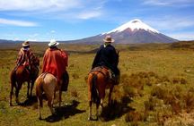 Cotopaxi Horseback Ride: El Pedregal Valley Day Tour from Quito