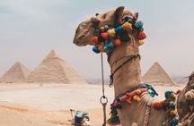 Private Full Day Tour to The Great Pyramids & Egyptian Museum