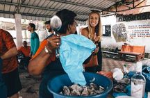 The two faces of Panama - LOCALINPTY 