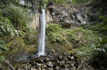 Buena Vista Mega Combo: Full Day With Private Guided Multi-Activities 8 in 1