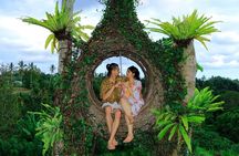 Cretya Ubud Tours 