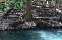 Natural Park Khao Yai with Mr Nong