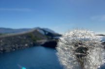 Private Tour to Atlantic Road from Ålesund groups 1 to 40