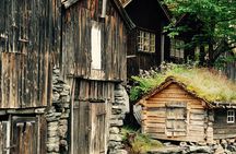Private tour from Ålesund to Geiranger up to 15 people