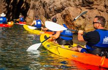 3 Hour of Sea Kayak Trip in the Creeks of Sete