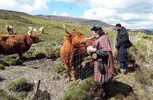 Full-Day Private Guided Shennachies Road to Isles and Skye Tour