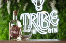 Tribe Gin School Experience in Galway