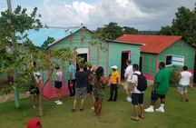 8-Hour Tour Enjoying the Dominican Culture Through the Countryside