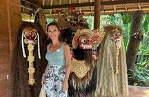 Northern Bali Tour - Private Full Day Tour - All Inclusive