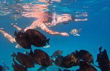 Hurghada Speedboat Trip to Orange Bay and Magawish Islands