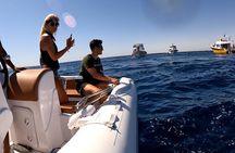 Hurghada Giftun Island Speedboat Cruise To Orange bay