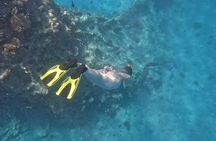 Hurghada Giftun Island Speedboat Cruise To Orange bay