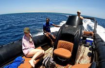 Hurghada Giftun Island Speedboat Cruise To Orange bay