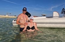 Hurghada Speedboat Dolphin Watching and Snorkeling