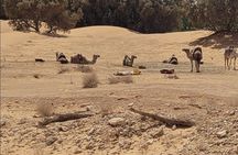 Private getaway in the desert like no other