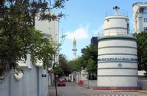 Private Male City Walking Tour with optional Vilimale tour
