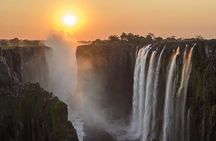 Full-day Safari Tour in Chobe