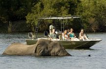Full-day Safari Tour in Chobe