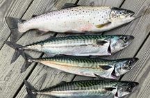 Inshore fishing in the Drangefjord