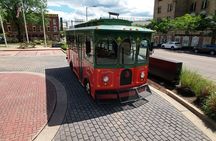 Chattanooga: City Trolley Tour with Coker Automotive Museum visit