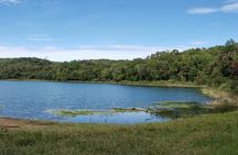 Chiriqui Adventure and Coffee tours