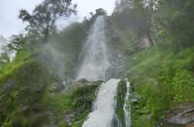 Chiriqui Adventure and Coffee tours