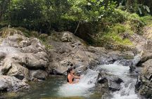  Half-Day El Yunque Rainforest Tour from Fajardo