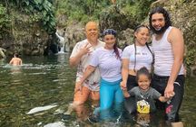  Half-Day El Yunque Rainforest Tour from Fajardo