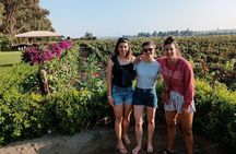 Pisco and wine route, Huacachina, Buggies, Sandboard and sunset