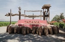 Pisco and wine route, Huacachina, Buggies, Sandboard and sunset