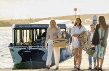 Experience Coffin Bay Short and Sweet Oyster Farm Tour