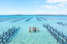 Experience Coffin Bay Oyster Farm and Bay Tour