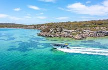Experience Coffin Bay Short and Sweet Oyster Farm Tour
