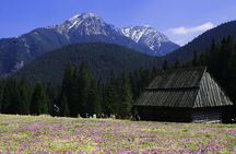 Zakopane Town in Tatra Mountains - Excursion from Krakow