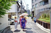 Authentic Kimono Culture Experience Dress, Walk, and Capture
