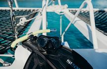 Discover the Best of St. John - Snorkel, Beach & Shopping!