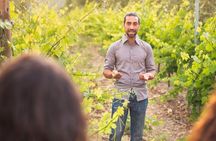 Private Guided Wine Tasting with Tour of the Vineyards in Vieste
