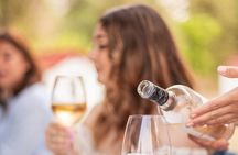 Private Guided Wine Tasting with Tour of the Vineyards in Vieste