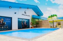 Discover Scuba Diving in Dubai