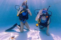 Discover Scuba Diving in Dubai