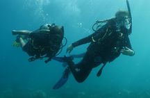 Discover Scuba Diving in Dubai