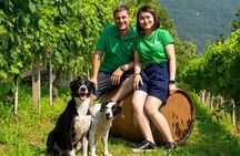 Savor Ossola Wines & Local Treats in a Scenic Vineyard